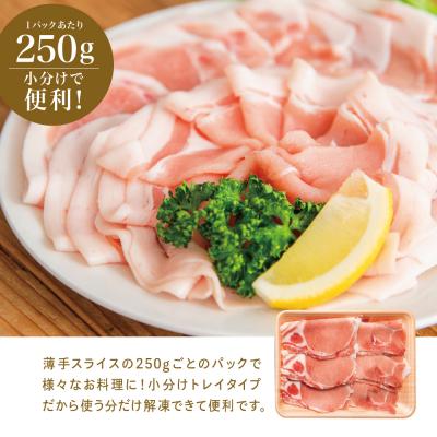 ふるさと納税 南さつま市 【鹿児島県産】 豚ロース しゃぶしゃぶ用 計2kg (小分け250g×8パック) |  | 03