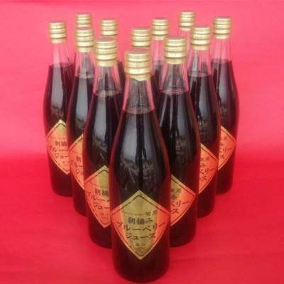 ふるさと納税 関市 栽培期間中農薬不使用の自然農園 紫屋【ブルーベリージュース】 12本 (720ml)_1