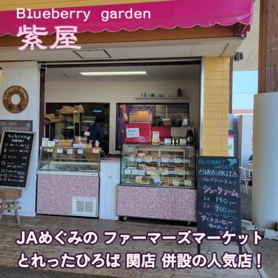 ふるさと納税 関市 栽培期間中農薬不使用の自然農園 紫屋【ブルーベリージュース】 12本 (720ml)_2