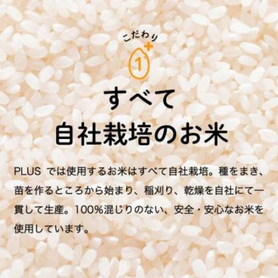 ふるさと納税 関市 【訳あり】期間限定で寄附額改定!令和7年産 