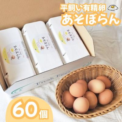 ふるさと納税 熊野市 平飼い有精卵(あそぼらん) 60個