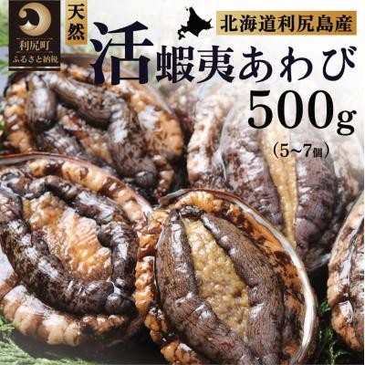 ふるさと納税 利尻町 【10月〜12月発送】天然蝦夷『活』アワビ500g 利尻島産 昆布育ちの美味しい鮑[1060002] | 