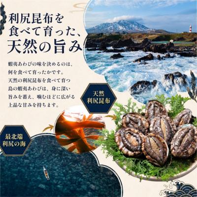 ふるさと納税 利尻町 【10月〜12月発送】天然蝦夷『活』アワビ500g 利尻島産 昆布育ちの美味しい鮑[1060002] |  | 01