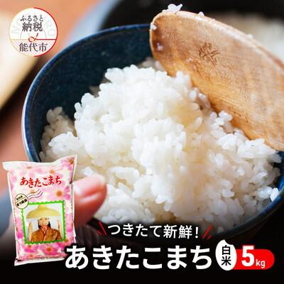 ふるさと納税 能代市 白米 つきたて新鮮!秋田県産 あきたこまち 5kg