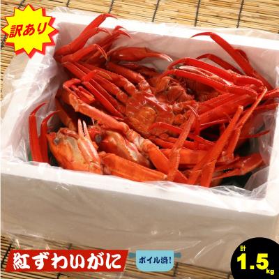 ふるさと納税 米子市 [訳あり]紅ズワイガニセット (約1.5kg) ずわいがに 数量限定 期間限定