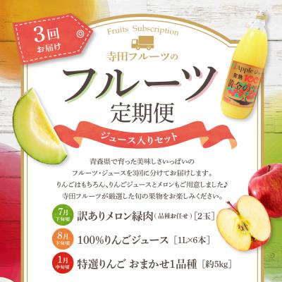 ふるさと納税 五所川原市 【7月発送開始】おいしい3種類 ☆ フルーツ定期便 【3回】 りんごジュース メロン りんご_1