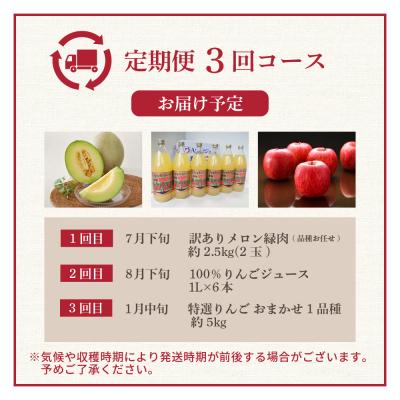 ふるさと納税 五所川原市 【7月発送開始】おいしい3種類 ☆ フルーツ定期便 【3回】 りんごジュース メロン りんご_3