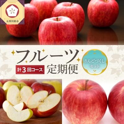 ふるさと納税 五所川原市 [9月発送開始] フルーツ定期便 3回 [訳あり] りんごづくしセット