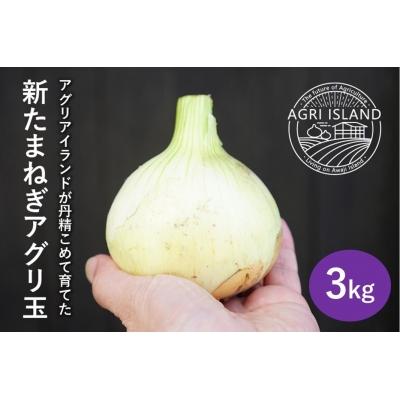 ふるさと納税 南あわじ市 [アグリアイランド][新玉受付]淡路島新たまねぎアグリ玉3kg ◆配送3月下旬〜