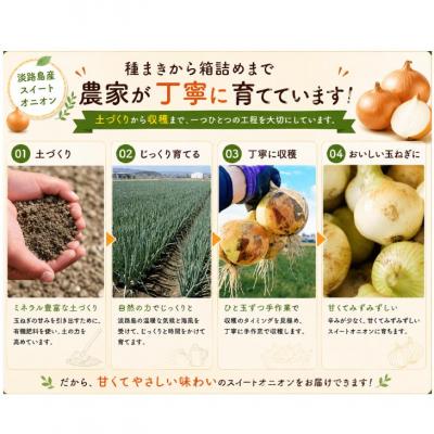 ふるさと納税 南あわじ市 【新玉予約!】淡路島スイートオニオン 淡路島産新玉ねぎ　10kg　◆配送4月上旬-6月下旬頃 |  | 03