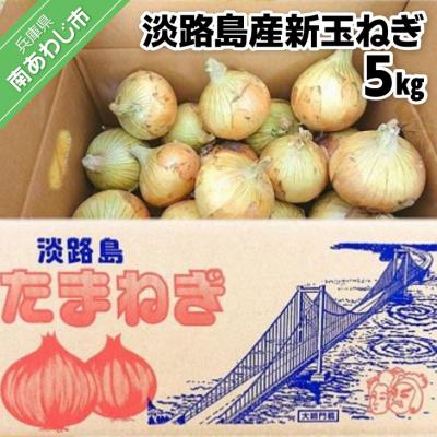 ふるさと納税 南あわじ市 【新玉受付】淡路島産新玉ねぎ5kg　◆配送2月中旬〜