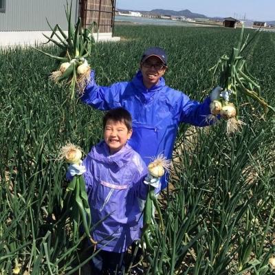 ふるさと納税 南あわじ市 【新玉受付】淡路島産新玉ねぎ10kg ◆配送2月中旬〜の画像