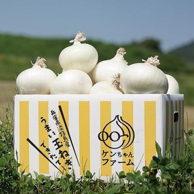ふるさと納税 南あわじ市 [先行受付!][ケンちゃんファーム]特別栽培真っ白な白たまねぎ 10kg