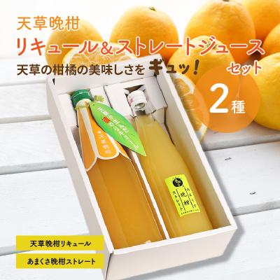 ふるさと納税 天草市 [天草晩柑]リキュール&amp;ストレートジュースセット