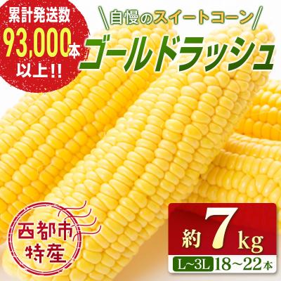 ふるさと納税 西都市 [約7kg]スイートコーン『ゴールドラッシュ』先行受付[1428]