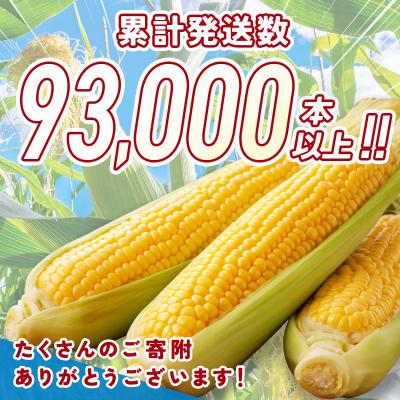 ふるさと納税 西都市 【約7kg】スイートコーン『ゴールドラッシュ』先行受付[1428] |  | 01