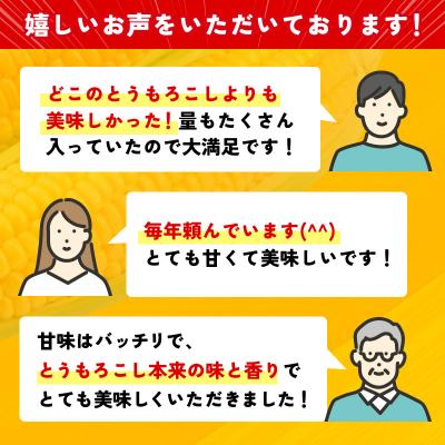ふるさと納税 西都市 【約7kg】スイートコーン『ゴールドラッシュ』先行受付[1428] |  | 02