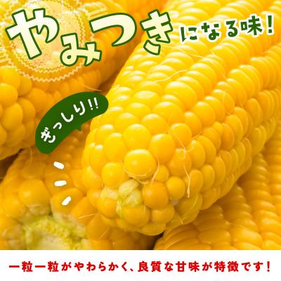 ふるさと納税 西都市 【約7kg】スイートコーン『ゴールドラッシュ』先行受付[1428] |  | 03