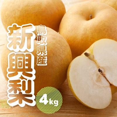 ふるさと納税 江府町 新興梨(しんこうなし)4kg 鳥取県産[先行受付2026年収穫分]ナシ 4キロ 0694