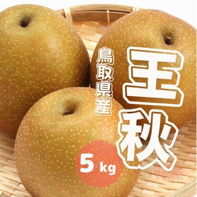 ふるさと納税 江府町 王秋梨 5kg 鳥取県産[先行受付2026年秋冬収穫分]なし 5キロ TM34 0690