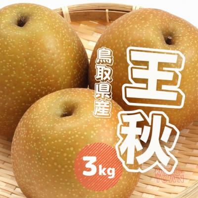 ふるさと納税 江府町 王秋梨 3kg 鳥取県産[先行受付2026年秋冬収穫分]なし 3キロ 0697