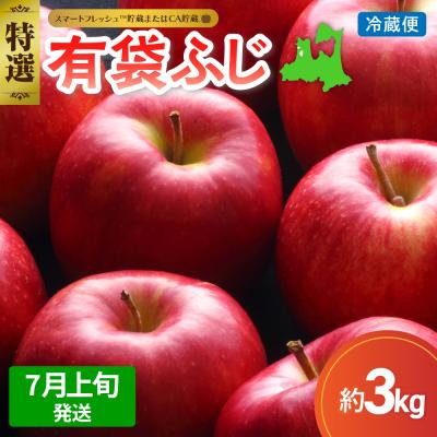 ふるさと納税 五所川原市 [2026年7月上旬発送]りんご有袋ふじ3kg特選 スマートフレッシュ貯蔵またはCA貯蔵・クール便