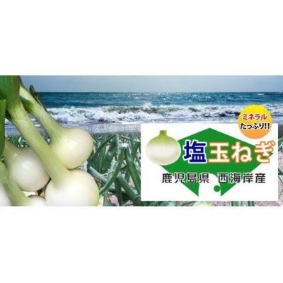 ふるさと納税 薩摩川内市 [先行受付] 湯田口海岸産 塩たまねぎ 約3kg 玉ねぎ たまねぎ ZS-702