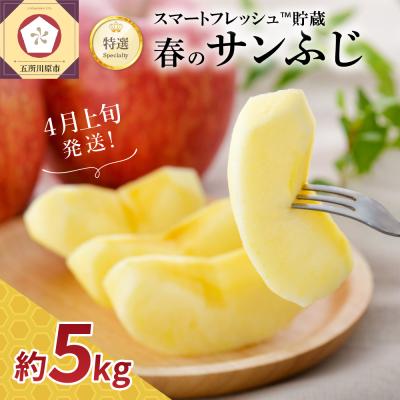 ふるさと納税 五所川原市 [2026年4月上旬発送]春のサンふじ りんご 約5kg [特選] スマートフレッシュ貯蔵 贈答用