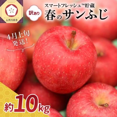 ふるさと納税 五所川原市 [2026年4月上旬発送]春のサンふじ りんご 約10kg[訳あり]スマートフレッシュTM貯蔵