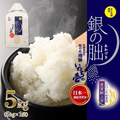 ふるさと納税 下呂市 [2025年産米]5kg×1 皇室献上米「銀の朏」令和7年産 いのちの壱 米[13-2]