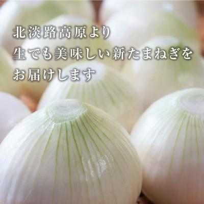 ふるさと納税 淡路市 【新たまねぎ】こうめいさんの玉葱5kg【発送時期:4月下旬〜6月上旬頃】 ak09007の画像