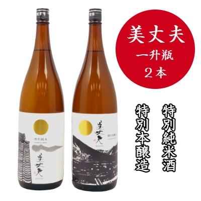 ふるさと納税 田野町 [四国一小さなまちの地酒] 美丈夫 『特別本醸造』+『特別純米酒』 セット(一升瓶)