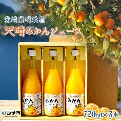 ふるさと納税 西予市 愛媛県明浜産 天晴みかんジュース 3本セット