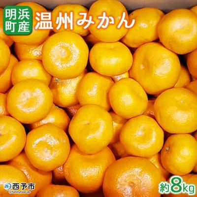 ふるさと納税 西予市 <先行受付>産地直送!!愛媛県明浜町産 温州みかん8kg(宇都宮農園)