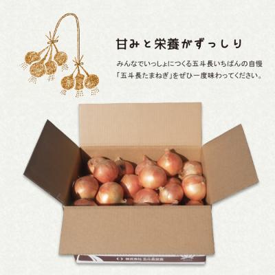 ふるさと納税 淡路市 五斗長たまねぎ 20kg(20kg箱×1) 淡路島産玉ねぎ