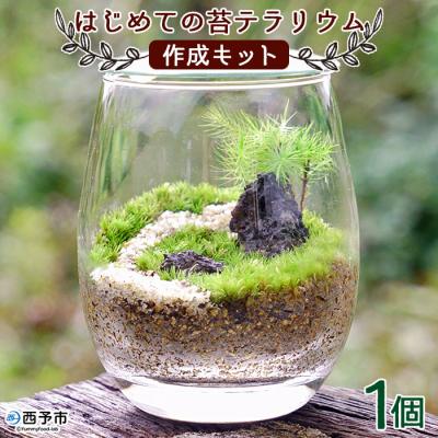 ふるさと納税 西予市 <はじめての苔テラリウムにピッタリの作成キット★作り方動画付> 手作り インテリア 緑 グリーン