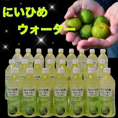 ふるさと納税 熊野市 乾いたカラダを潤す♪ にいひめウォーター 510ml×24本