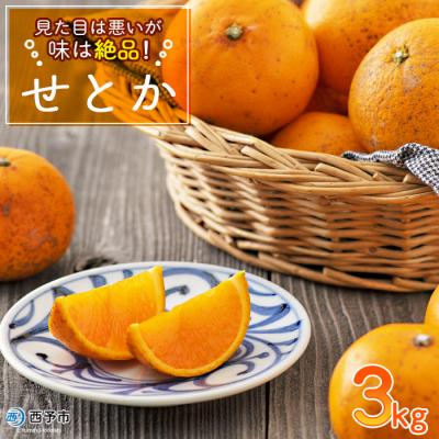 ふるさと納税 西予市 見た目は悪いが味は逸品 無茶々園のせとか 3kg
