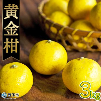 ふるさと納税 西予市 <無茶々園の黄金柑 3kg> 果物 フルーツ 柑橘 愛媛 期間限定