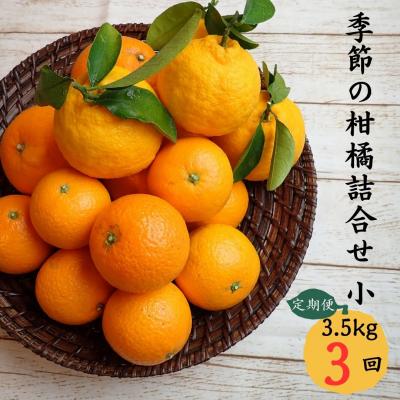 ふるさと納税 熊野市 7自然塾 季節の柑橘詰合せ 小[定期便3回]
