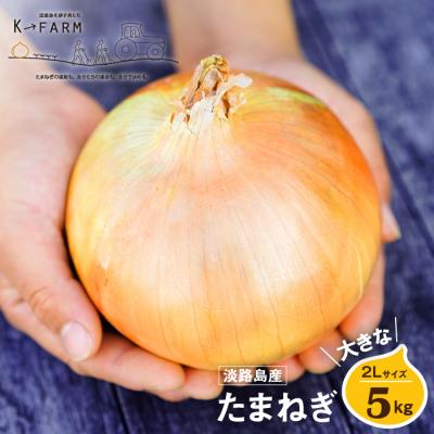 ふるさと納税 淡路市 淡路島たまねぎ 大きな2Lサイズ 5kg