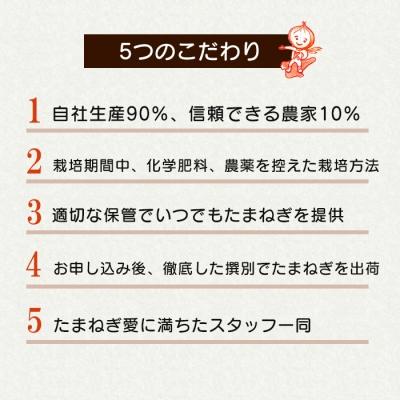 ふるさと納税 淡路市 【新たまねぎ】淡路島たまねぎ 大きな2Lサイズ5kg【発送時期3月下旬〜5月頃】 ak04027の画像