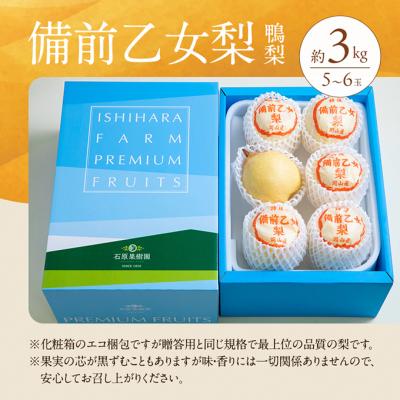 ふるさと納税 瀬戸内市 石原果樹園 備前乙女梨(鴨梨) 5〜6玉 合計約3kg  岡山県産 [No.5735-1159]の画像