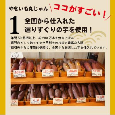 ふるさと納税 碧南市 焼き芋 蜜たっぷり!冷やし焼き芋 ひえひえ君 3種食べ比べ 約1kg 芋スイーツ　H047-060 |  | 01