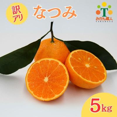 ふるさと納税 愛南町 [訳あり]みかん職人のなつみ5kg なつみ みかん 蜜柑 柑橘 果物 フルーツ みかん職人武田屋