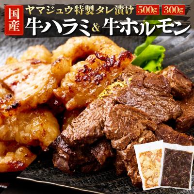 ふるさと納税 室戸市 ヤマジュウの特選タレ漬け!牛ハラミ肉500g&amp;国産牛ホルモン300g