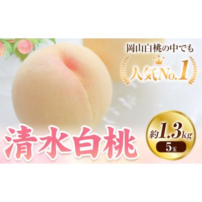 ふるさと納税 笠岡市 [2027年発送先行予約]清水白桃 約1.3kg(5玉)[2027年7月下旬-8月上旬頃出荷]