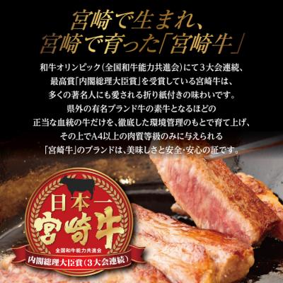 ふるさと納税 高原町 宮崎牛赤身ステーキ(400g)　TF558 |  | 01