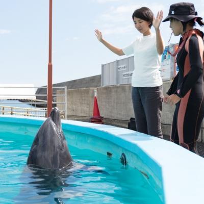ふるさと納税 室戸市 トレーナー体験1名(3歳以上小学生) |  | 02
