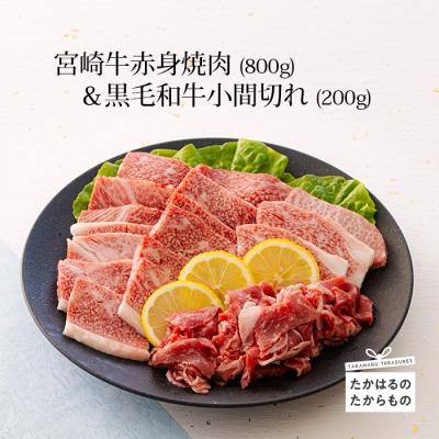 ふるさと納税 高原町 ミヤチク 宮崎牛赤身焼肉(ウデ・モモ)800g&amp;黒毛和牛小間切れ200g